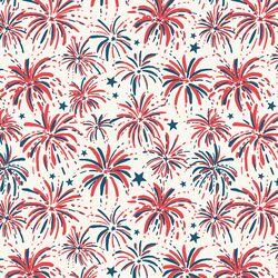 Fireworks in Celebration