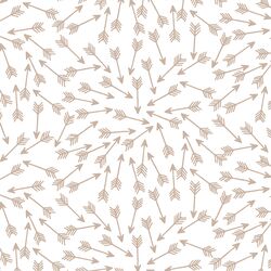 Arrows in Sand on White