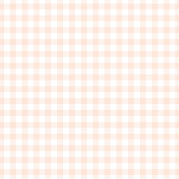 Little Gingham in Light Pink