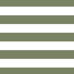 Horizontal Play Stripe in Olive