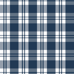 Spring Plaid in Navy