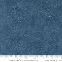 Sand Dollar Ripples in Ocean Blue