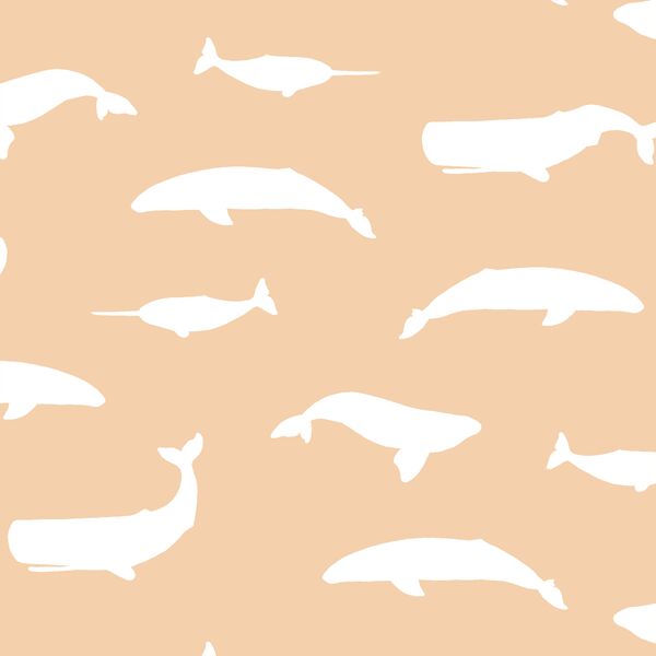 Whale Silhouette in Nectar