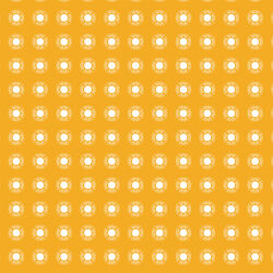 Sunny Day in Golden Rays