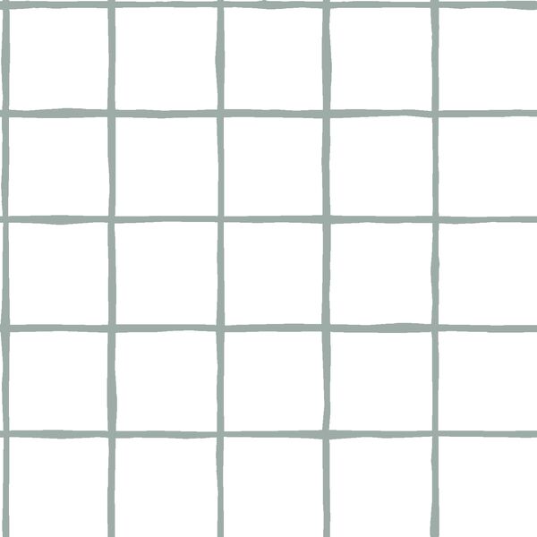 Windowpane in Eucalyptus on White