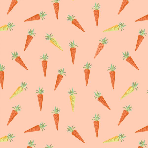 Little Carrots in Spring