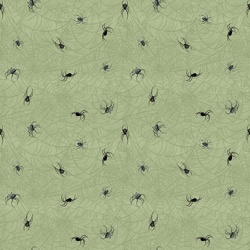 Spiders in Sage