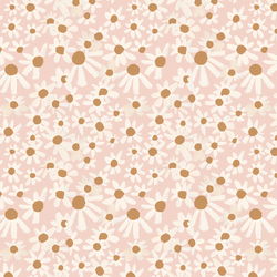 Little Brown Eyed Suzies in Daydream