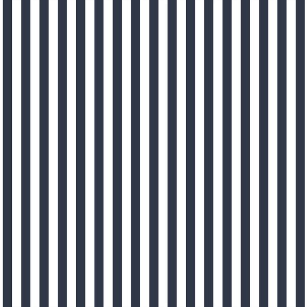 Dress Stripe in Eclipse