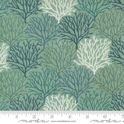Coastal Coral in Aqua