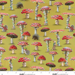 Mushroom Trees in Citrus