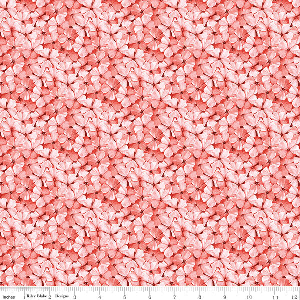 Phlox Petals in Pink