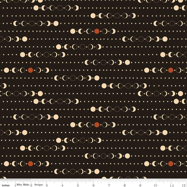 Moon Phase in Black