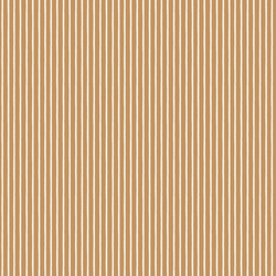 Little Stripe in Cider