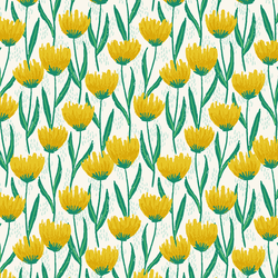 Garden Tulips in Cloud