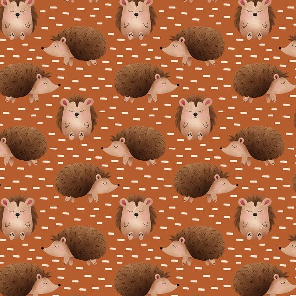 Dashing Hedgehogs in Acorn
