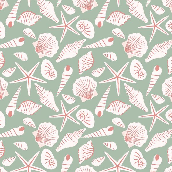 Sea Shells in Beachy