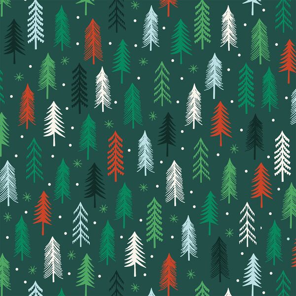 Winter Woods in Cozy