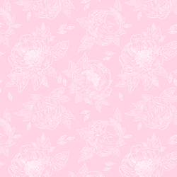 Sketched Peony in Wild Rose