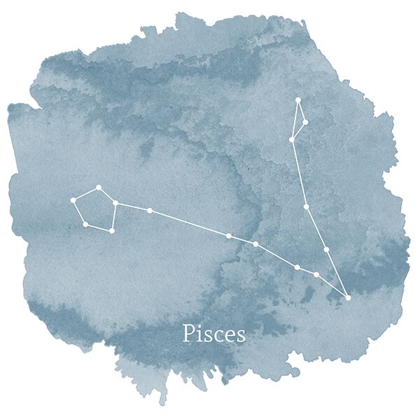 Pisces Sign Panel in Marine