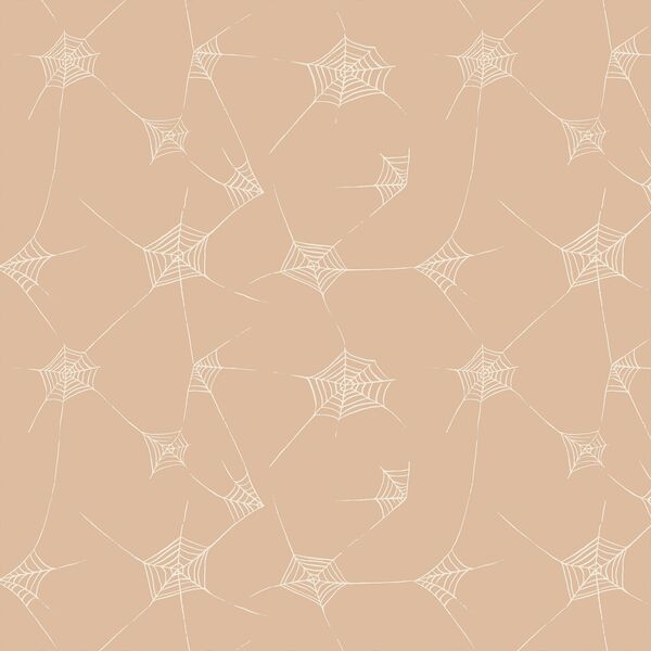 Spiderwebs in Blush Pink