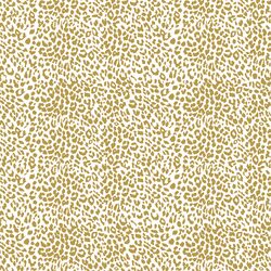 Small Leopard in Gold Glow on White