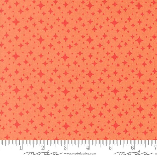Starlight in Coral