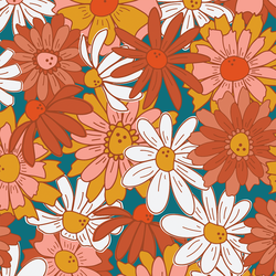 Large Blooming Daisies in Rainbow