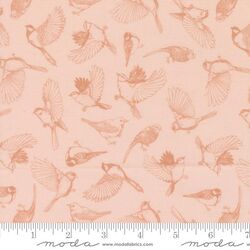 Flock of Feathers in Petal