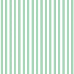 Dress Stripe in Seaglass