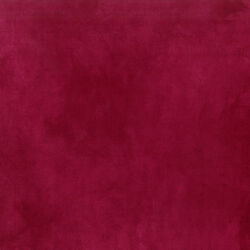Palette in Wine