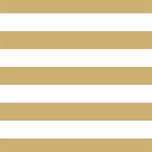 Horizontal Play Stripe in Golden Canyon