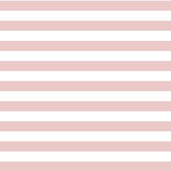 Horizontal Candy Stripe in Blush