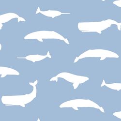 Whale Silhouette in Water