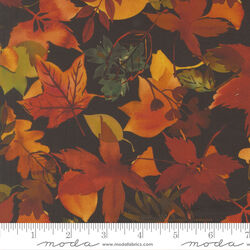 Fall Leaves in Night Sky