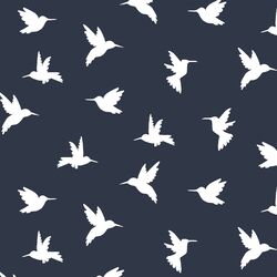 Hummingbird Silhouette in Eclipse