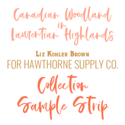 Canadian Woodland Sample Strip in Laurentian Highlands