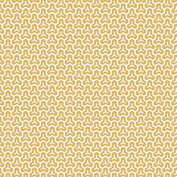Honeycomb in Sunlight