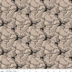 Rocks in Tan
