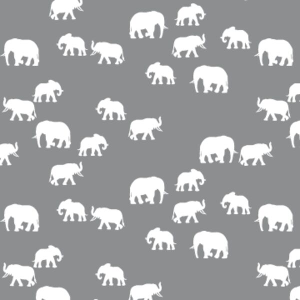 Elephant Silhouette in Smoke