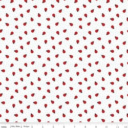 Ladybugs in White