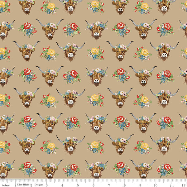 Highland Cows in Brown