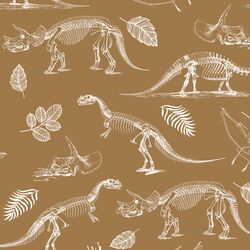 Fossils in Ochre