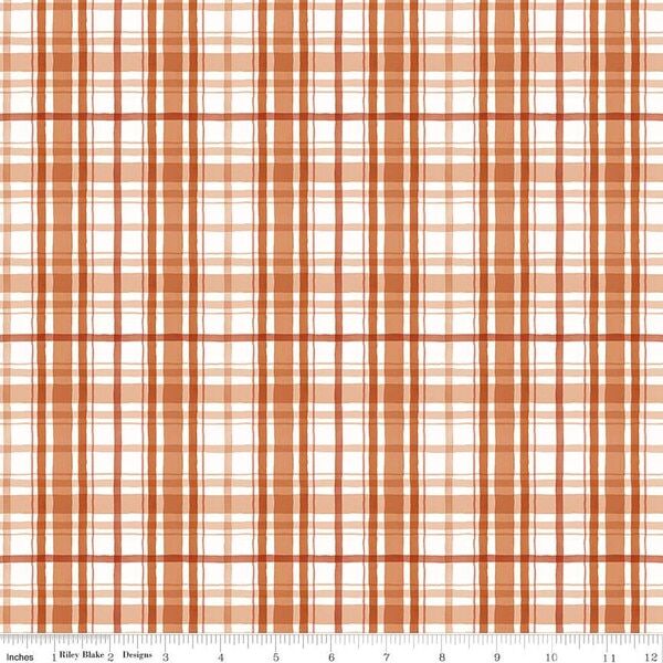Plaid in Rudolph