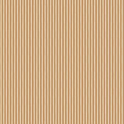 Little Stripe in Cider