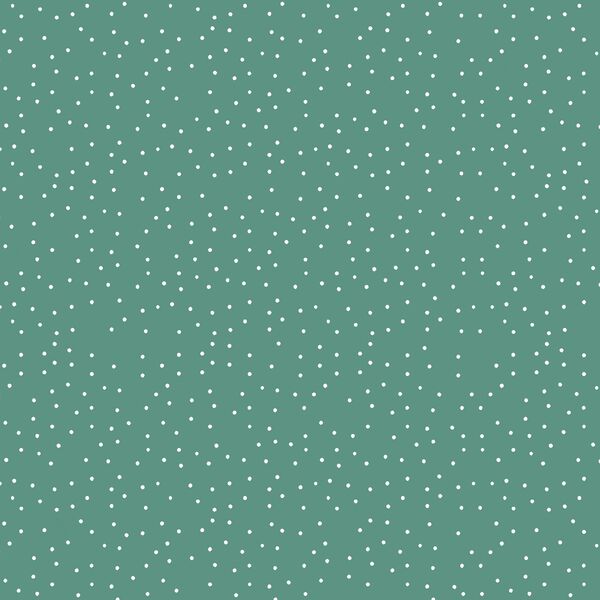 Winter Snow in Pine Green