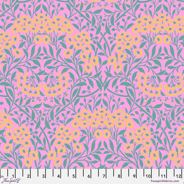 Michaelmas in Pink