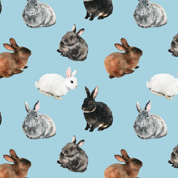 Spring Bunnies in Robin