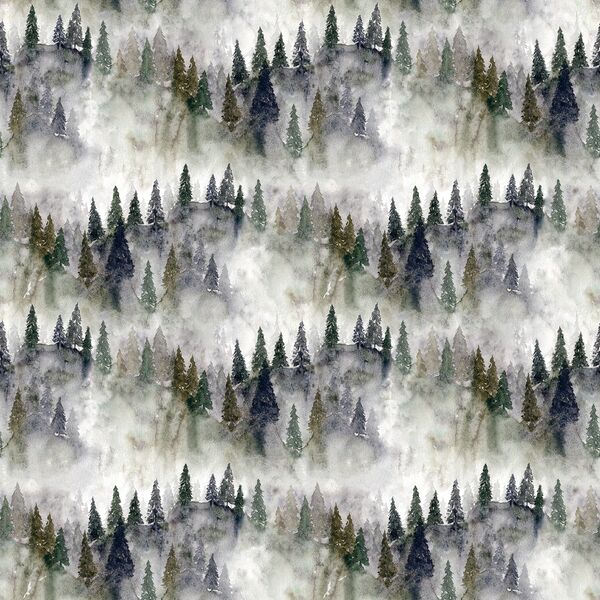 Misty Mountains in Forest