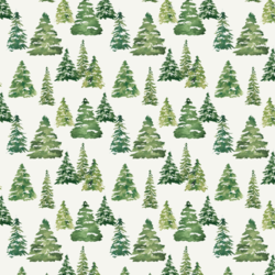 Little Pine Forest in Snow